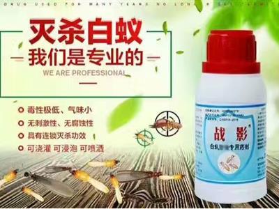 战影白蚁防治专用药剂 好用的白蚁药