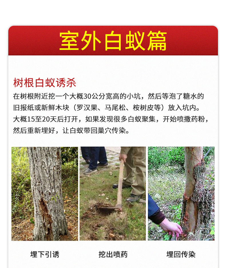 科凌虫控灭杀白蚁药杀虫剂防治专用除白蚂蚁药粉传染家用非神器端