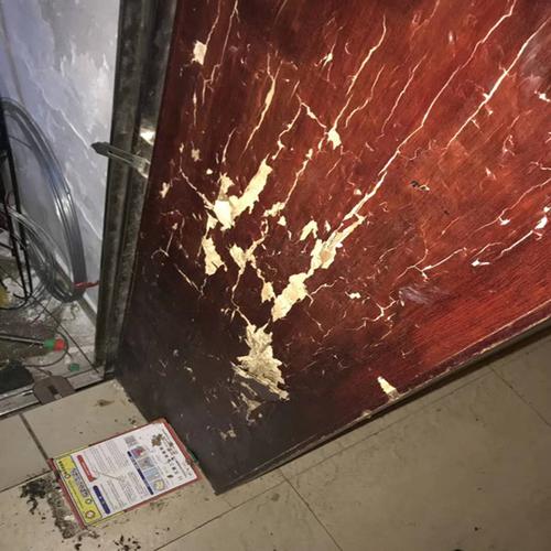 深圳龙岗白蚁防治公司灭白蚁多年经验 一对一服务