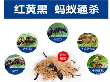 白蚁防治、消杀四害、灭杀所有害虫、除蟑灭鼠灭蚊蝇。