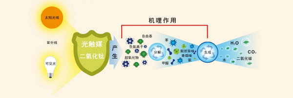 甲醛清除剂批发,光触媒分解剂定制,除甲醛产品厂家首选柯林艾尔图片,甲醛清除剂批发,光触媒分解剂定制,除甲醛产品厂家首选柯林艾尔图片大全,杭州拜思特环境工程-