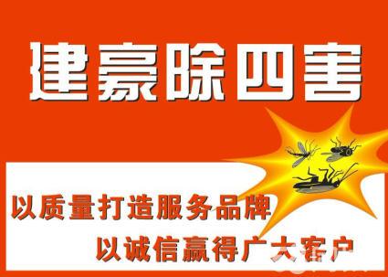 宁波专业杀虫灭鼠灭蟑,白蚁防治,家庭除四害