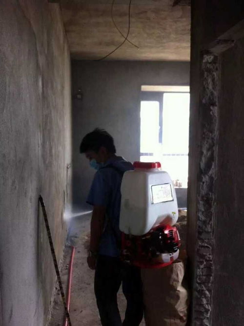 园洲东江府 新房防治白蚁工程 东莞市柏力白蚁防治 石龙白蚁 石龙杀虫 石龙除四害 石碣白蚁 石碣杀虫 东莞白蚁防治公司 东城白蚁 石排白蚁 石排杀虫 石排除四害