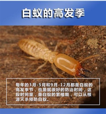富美实百户喜白蚁药 灭杀白蚂蚁全窝 白蚁防治专用药 卫净达g018