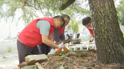 镇江新区白蚁防治百日公益行动正式启动
