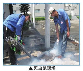 精品推荐 东莞恒诚清洁服务限公司