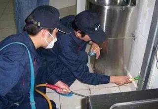 近期气温走位怪异,杨絮或被压制 淮北人还要留意白蚁