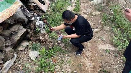 龙口市住建局开展蚁情调研,助力村庄扫清白蚁危害