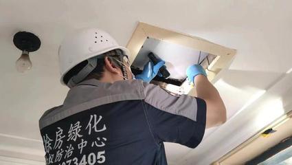 上海下周进入白蚁集中出飞季,发现白蚁可以自行灭杀吗?听听专业灭蚁队怎么说