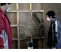 石狮白蚁防治热卖促销