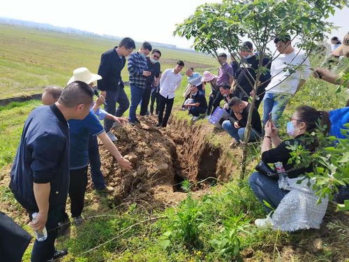 湖北阳新县水利局系统年轻干部读书班 科普白蚁防治工作