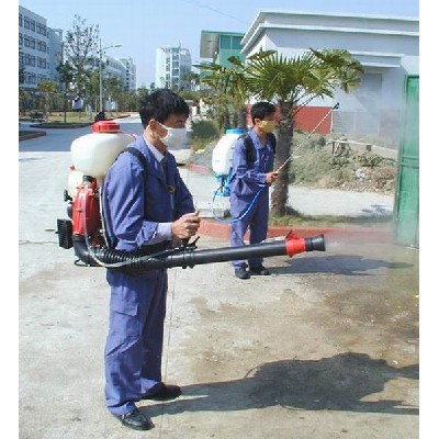 江门白蚁防治公司:主要危害木材料的白蚁种类