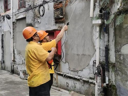天气闷热潮湿 白蚁出没小心 整治小分队 紧急出动