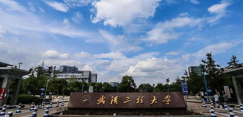 武汉工程大学化学与环境工程学院有调剂需求,预调剂专业公布