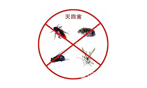 贵港白蚁防治-灭杀白蚁除四害公司-好阿姨家政