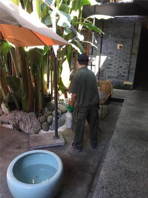 成都仁民有害生物防治服务