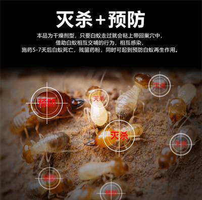 江西南昌余干县白蚁防治中心