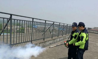 战虫专业除虫公司,工厂灭白蚁,四害消杀,灭鼠灭蟑
