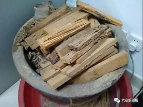 六安这个地方藏着两亿年前的生物 密集恐惧症这慎入