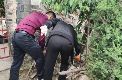 孝昌县小河镇:积极开展白蚁防治,解决居民烦心事