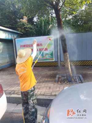 我为群众办实事|冷水滩:强化白蚁防治 共建美好家园