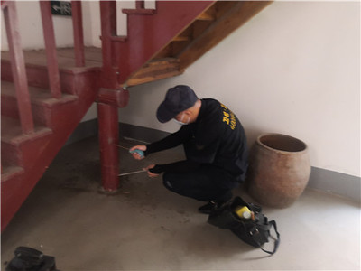 白蚁防治