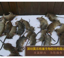 高清图片
