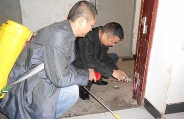 南昌灭蟑螂杀蟑螂公司专业上门杀虫灭鼠服务
