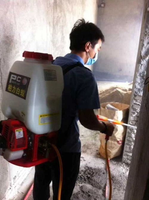 园洲东江府 新房防治白蚁工程 东莞市柏力白蚁防治 石龙白蚁 石龙杀虫 石龙除四害 石碣白蚁 石碣杀虫 东莞白蚁防治公司 东城白蚁 石排白蚁 石排杀虫 石排除四害