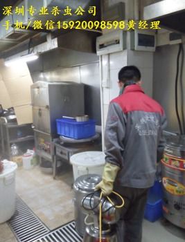 深圳酒店住宅灭臭虫灭跳蚤工厂白蚁防治,除虫灭鼠,除虫除蚁灭蟑螂