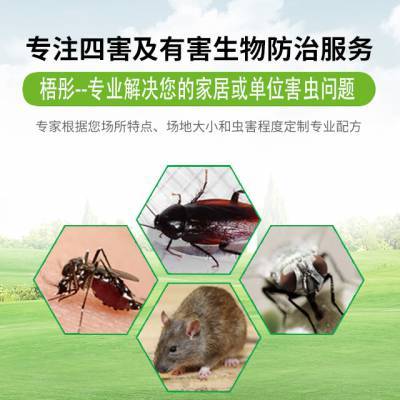 海南各市县海口三亚病媒防制灭四害除虫除白蚁除老鼠蟑螂苍蝇蚊子杀菌消毒
